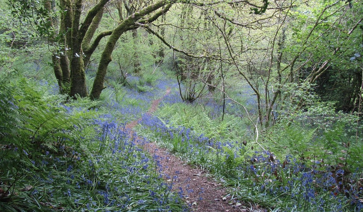 Leave no trace principles for remote overnight camps